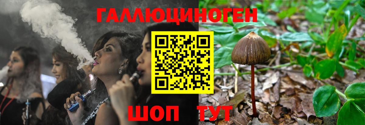 Галлюциногенные грибы Magic Shrooms  Галлюциногенные грибы GOLDEN TEACHER  Вход с VPN  Саров 